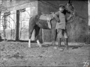 Soldat des Ersten Weltkriegs mit einem Pferd in einem Hinterhof