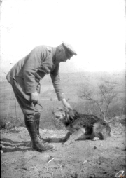 Ein Soldat spielt mit einem Hund während des Ersten Weltkriegs in der Natur