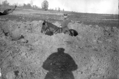 Soldat auf einem Pferd im Ersten Weltkrieg an einer zerstörten Frontlinie