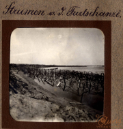 Weinberge nach der Schlacht bei Tutschanze im Ersten Weltkrieg