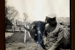 Soldat mit Pferd während des Ersten Weltkriegs in ländlicher Umgebung