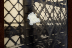 Überquerung einer Brücke während des Ersten Weltkriegs im Jahr 1916