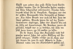 Dokumentation eines Truppeneinsatzes während des Ersten Weltkri