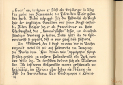 Erfahrungen und Herausforderungen von Soldaten im Ersten Weltkrieg an der Front in Belgien