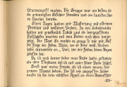 Bericht über die Ersten Weltkriegsstrategien und die Lebensbedingungen der Soldaten