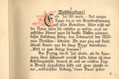 Mobilmachung im Ersten Weltkrieg im Juli 1914 mit politischen Spannungen und Mobilisierungsentscheidungen. Dokumentation über die Erlebnisse von Heinrich von Eicken aus Belgien, mit persönlichen Aufzeichnungen bis 1931.