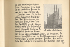 Bericht über die Architektur von Löwen während des Ersten Weltkriegs