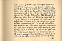 Bericht über die Erfahrungen während des Ersten Weltkriegs mit Rückblick auf das Geschehen
