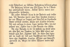 Bericht über die Lebensbedingungen der Soldaten während des Ersten Weltkriegs in einem Lager