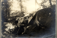 Zerschossenes Flugzeug im Wald