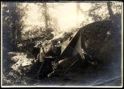 Zerschossenes Flugzeug im Wald