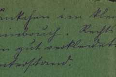 Einblicke in die Kunst des Schreibens im Herzen von Hannover, ein grüner Hintergrund inspiriert von zeitlosen Gedanken