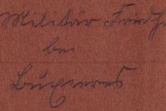 Ein handgeschriebener Brief mit historischen Inhalten aus einer vergangenen Zeit