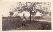 Soldat im Feld während der Kriegsjahre an einem Baum auf karger Fläche
