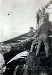 Mehrere Matrosen der Kaiserlichen Marine ziehen ein Rettungsboot an das U-Boot heran. Die Aufnahme zeigt eine typische Szene während der U-Boot-Kriegsführung im Ersten Weltkrieg, bei der Überlebende versenkter Schiffe aufgenommen wurden.
