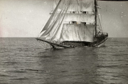 Ein großes Segelschiff mit mehreren Masten und gesetzten Segeln sinkt in ruhiger See. Das Schiff neigt sich deutlich zur Seite und ist offenbar durch einen U-Boot-Angriff beschädigt worden.