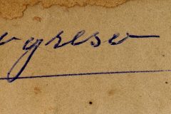 Unterschrift auf altem, vergilbtem Papier