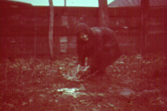 Person in umzäuntem Gartengelände, Russland