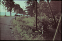 Landstraße mit Baumreihe und Marschkolonne in Russland