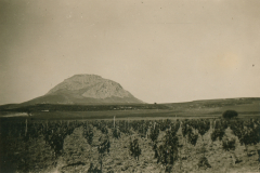 Landschaftsaufnahme mit Bergformation und Weinanbau auf dem Balkan