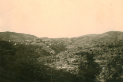 Berglandschaft auf dem Balkan mit Siedlung und Nadelwaldbestand