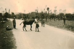 Straßenszene auf dem Balkan mit Pferdefuhrwerk und Zivilpersonen