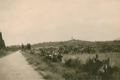 Landschaft auf dem Balkan mit Straße und Hügellandschaft