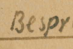 Handschriftliche Beschriftung 'Offiziel Besprechung' auf Dokumentation