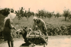 Soldaten mit Pferdefuhrwerk auf Balkanstraße, 1941-1943