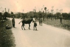 Straßenszene auf dem Balkan mit Pferdefuhrwerk und Zivilpersonen