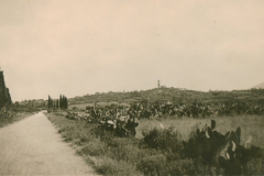 Landschaft auf dem Balkan mit Straße und Hügellandschaft