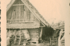 Polnisches Bauerngehöft mit Strohdach und Holzschuppen