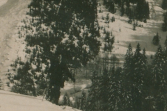 Verschneite Berglandschaft mit Nadelwald und Straße