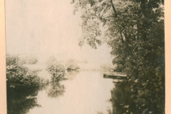 Flusslandschaft mit Laubwald und Ufervegetation