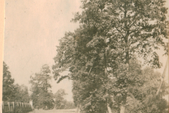 Landschaftsaufnahme mit Baumbestand und Feldweg, Bauplatz