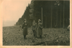 Offiziere der Wehrmacht in Waldlandschaft, Guderian-Operationsgebiet