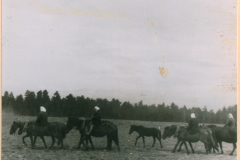 Reiterstaffel mit bespannten Pferden auf Feldweg, Ostfront ca. 1941-1942
