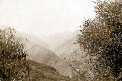 Waldlandschaft in Nordrussland, 1942/43