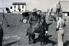Deutscher Mechaniker mit Pferd auf Flugplatz in Nordrussland, 1942/43