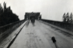 Straße mit Lastkraftwagen und Waldbestand