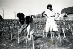 Frauen bei der Gartenarbeit in ländlichem Gebiet