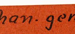 Beschriftung auf Archivmaterial: Jaschgan-General
