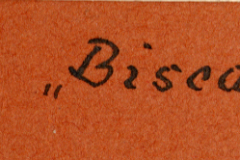 Beschriftung: Flakschießplatz Biscarosse, Biskaya