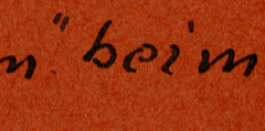 Handschriftliche Beschriftung 'Hoffmann beim Sprung'