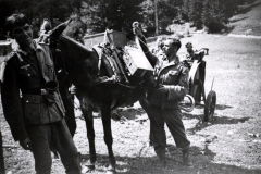 Uniformierte Männer mit Pferden und Transportmitteln in alpiner Landschaft