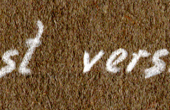 Handschriftliche Beschriftung 'Im Morast versunken'