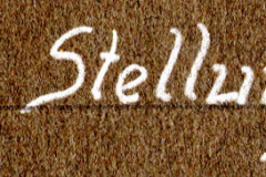 Beschriftung 'In Stellung' auf Textil oder Stoff