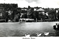 Hafenpartie Werder an der Havel mit Ufergebäuden und Bootsanleger
