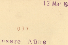 Rückseite eines Fotos mit Datierung und Archivnummer, Mai 1943