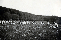 Gruppe von M?nnern in einer Blumenwiese mit Waldkulisse